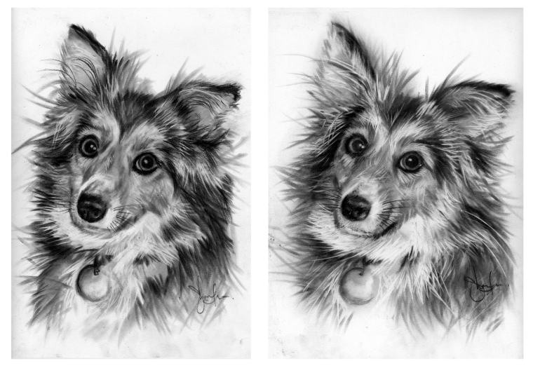 Two portraits of Whiskey
